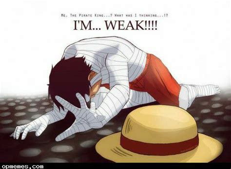 As any fan of One Piece knows,. . One piece fanfiction luffy suffering